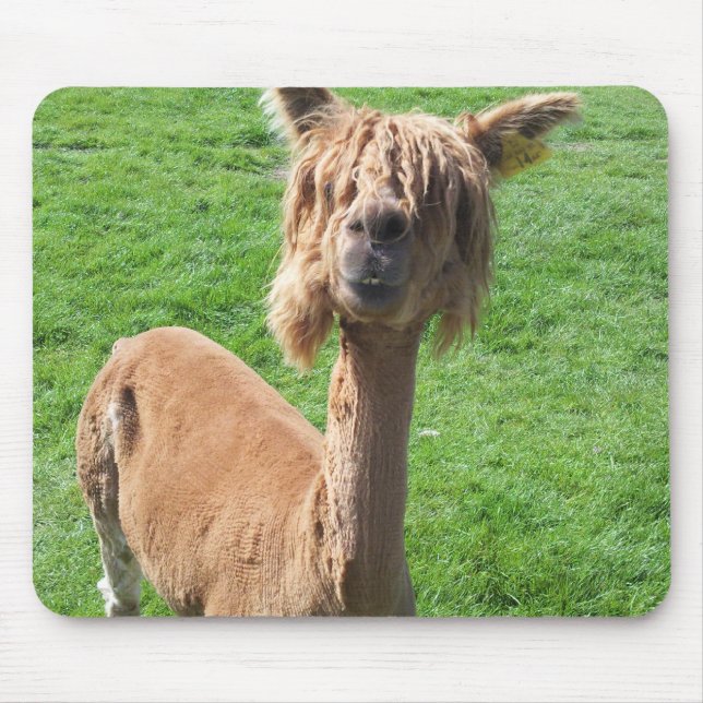 Alpaka Mousepad (Vorne)