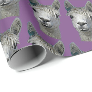 Alpaka-Papier auf Malvenfarbe Geschenkpapier