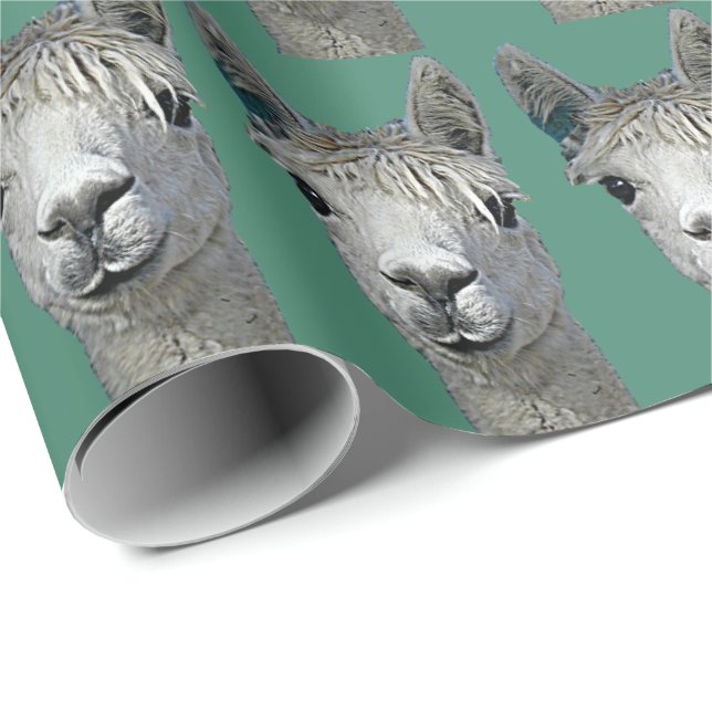 Alpaka-Papier Geschenkpapier (Rolleneckpunkt)