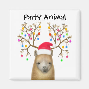 Alpaka-Party-Tier-Magnet Magnet