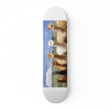 Alpaka-Skateboard