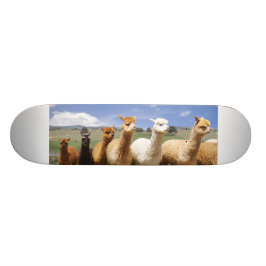 Alpaka-Skateboard Skateboard