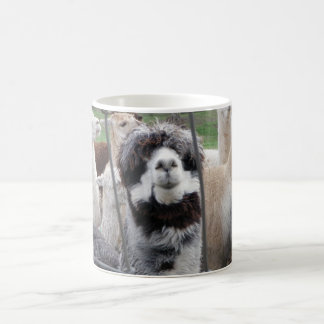 Alpaka-Tasse:) Kaffeetasse