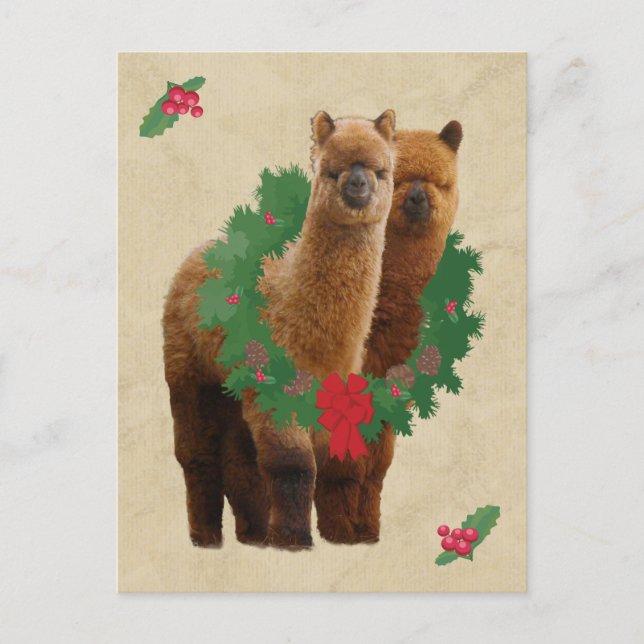 Alpaka Weihnachtspostkarte Feiertagspostkarte (Vorderseite)