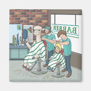 Alpakaaarschnitt  magnet