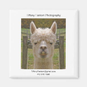 Alpakapromo-Stück Magnet