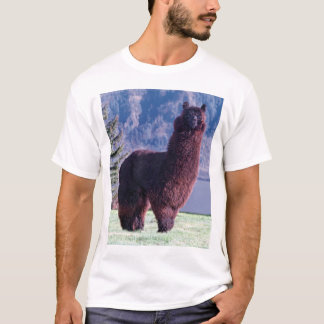 Alpakaregel T-Shirt