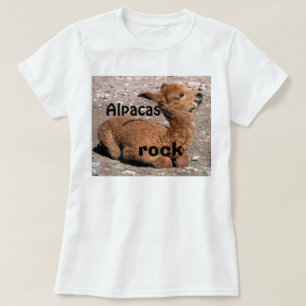 Alpakas FELSEN T-Shirt