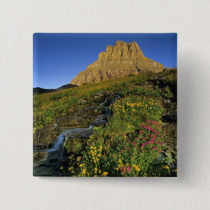Alpen-Wildblumen & Mt Clements am Logan Pass Button