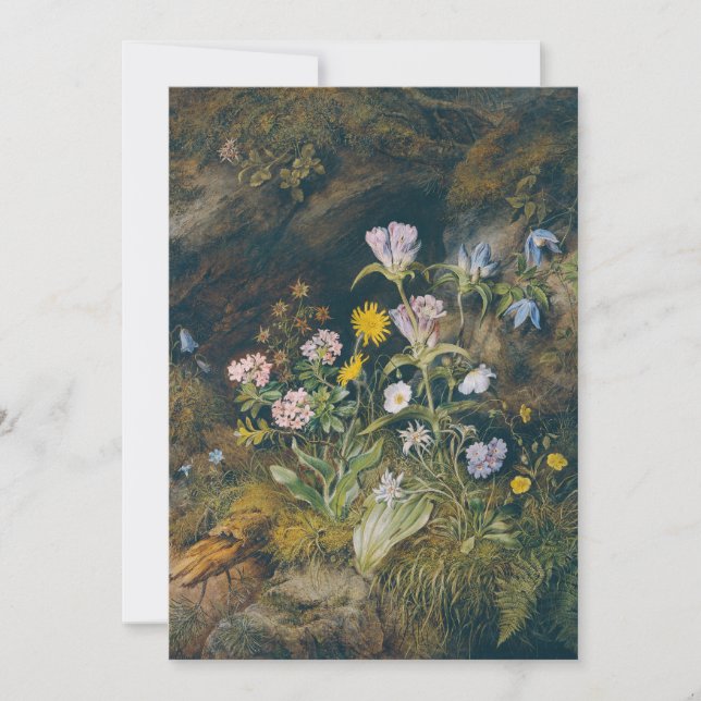 Alpenflora | Theodor Petter (Vorderseite)