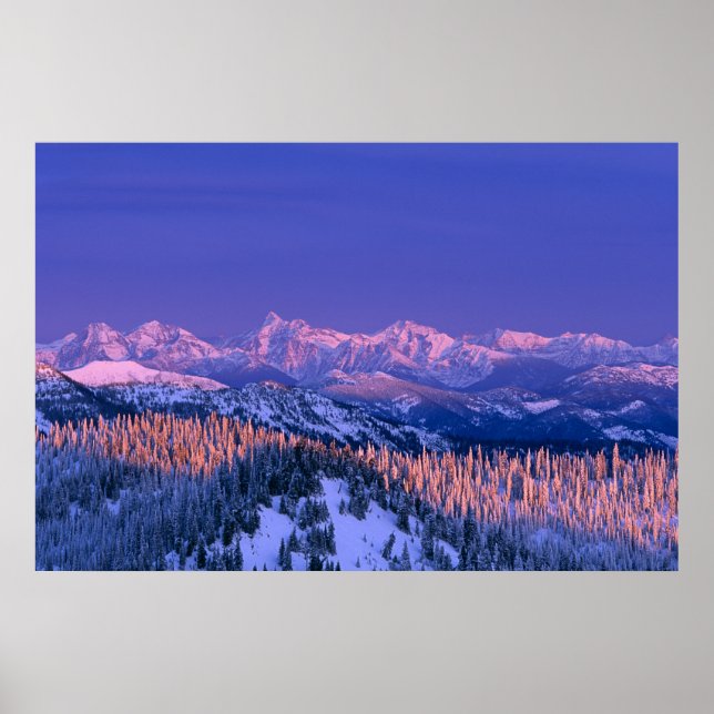 Alpenglow trifft die Gipfel des Glacier Poster (Vorne)