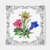 Alpenische Blume