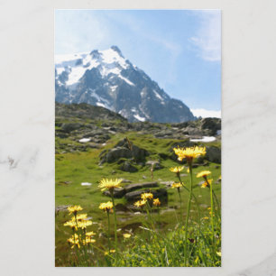 Alpenische Blume - schön!