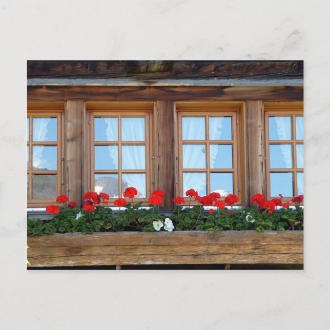 Alpenkhaletfenster Postkarte (Vorderseite)
