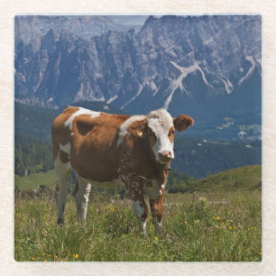 Alpenkuh Glasuntersetzer