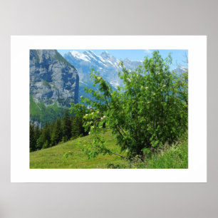 Alpenlandschaft in der Schweiz Poster