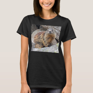 Alpenmarmot-T-Shirt T-Shirt