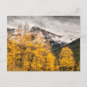 Alpenschleife   Silverton, Colorado Postkarte