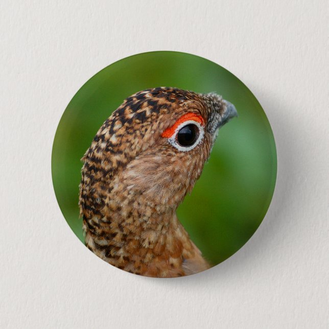 Alpenschneehuhn Button (Vorderseite)