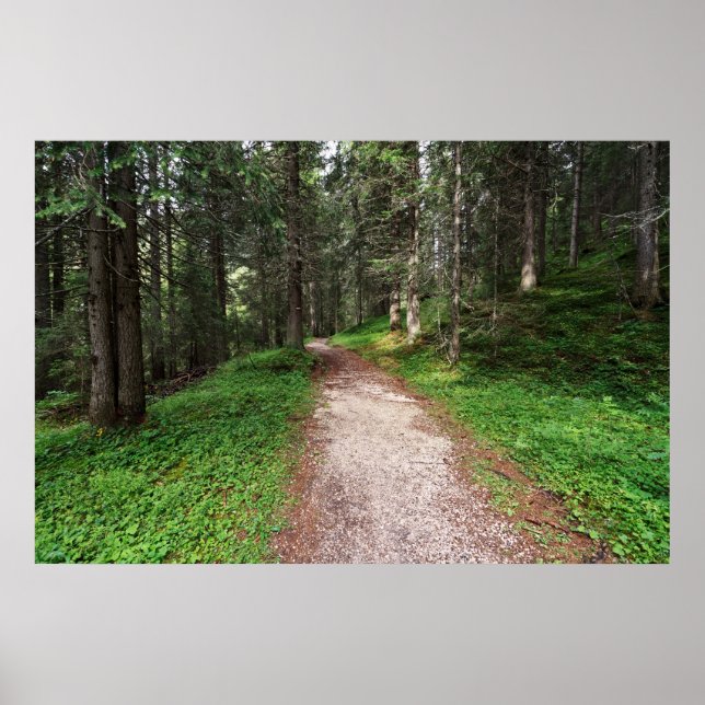 Alpenwald Poster (Vorne)