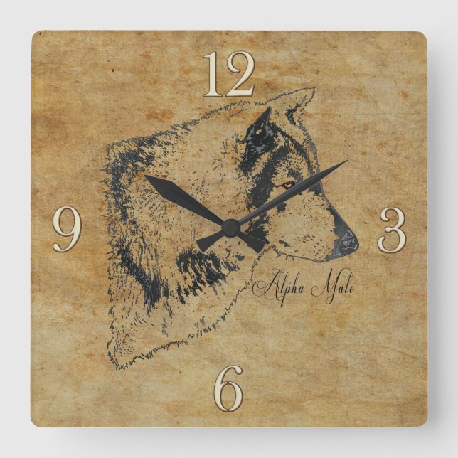 Alpha Gray Wolf Wildlife Portrait Quadratische Wanduhr (Vorderseite)