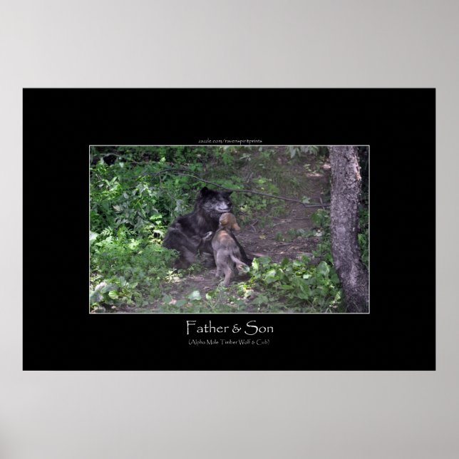 Alpha Male Grau Wolf & Pup Foto Print Poster (Vorne)