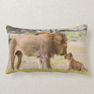 Alpha-Männerkleie untersucht Junge Lendenkissen