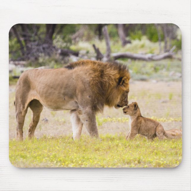 Alpha-Männerkleie untersucht Junge Mousepad (Vorne)