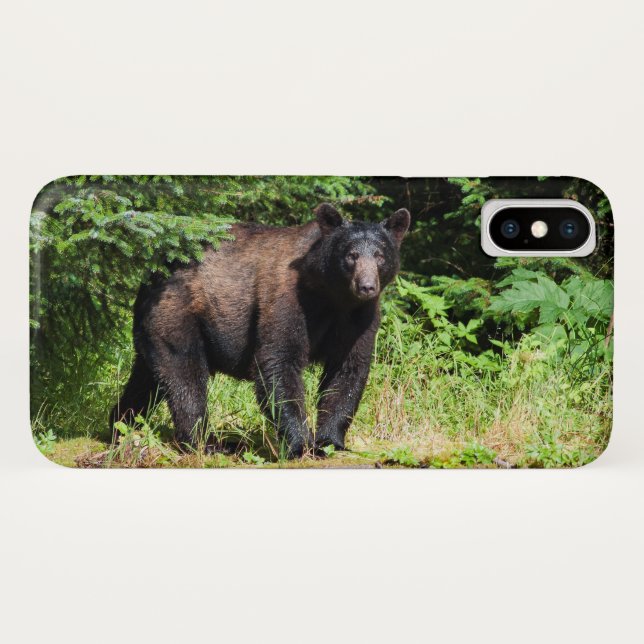 Alpha Schwarzbär Case-Mate iPhone Hülle (Rückseite (Horizontal))