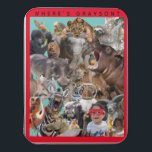 Alphabet Animals Acrylic Jigsaw Puzzle<br><div class="desc">Tierpuzzle von A bis Z. Von einem küssen Aardvark bis hin zu einem lachenden Zebra, helfen Sie Ihrem Kleinen, sich durch alle Tiere, die dieses Rätsel zu halten hat, zu bewegen. Vergessen Sie nicht, den Text durch Ihre eigene Nachricht zu ersetzen, indem Sie die Farbe, Größe und den Stil Ihres...</div>