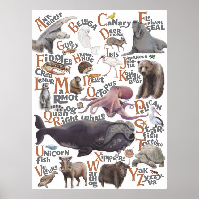 Alphabet Animals Poster (Vorne)