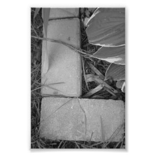 Alphabet-Buchstabe-Fotografie L5 Schwarzweiss-4x6 Fotodruck
