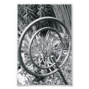 Alphabet-Buchstabe-Fotografie Q1 Schwarzweiss-4x6 Fotodruck