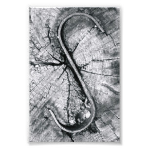 Alphabet-Buchstabe-Fotografie S2 Schwarzweiss-4x6 Fotodruck