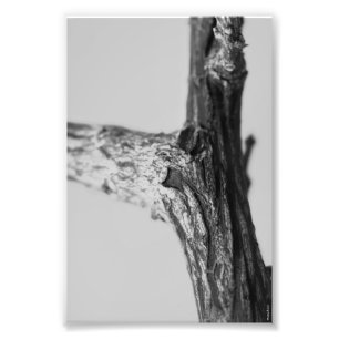 Alphabet-Buchstabe-Fotografie Y8 Schwarzweiss-4x6 Fotodruck