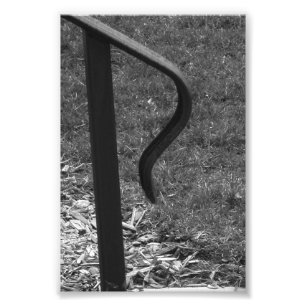 Alphabet-Buchstabe R1 Schwarzweiss-4x6 Fotodruck