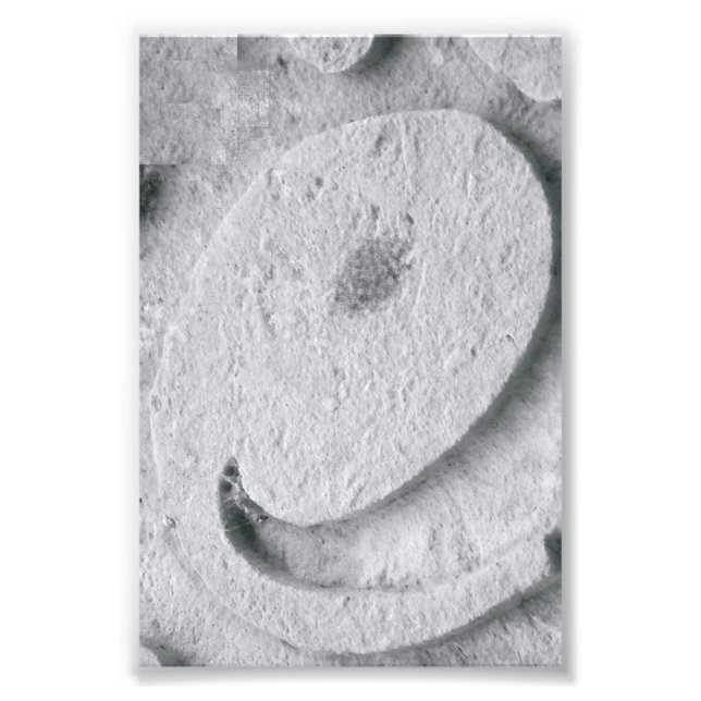 Alphabet Letter Fotografy E4 Black and White 4x6 Fotodruck (Vorne)
