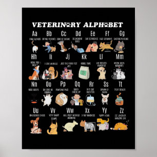 Alphabet Vet Nurse Student Sch Poster