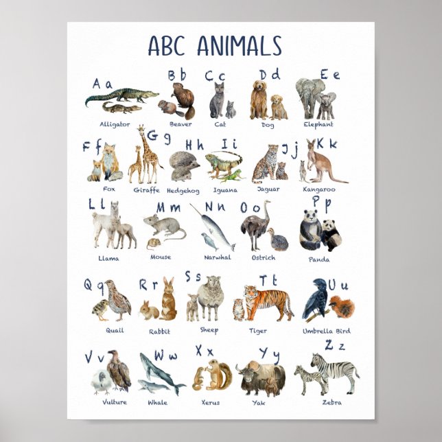 Alphabete Tiere zurück in die Schule Poster (Vorne)