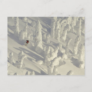 Alpin-Skier in dicken Schneegeistern im Big Postkarte
