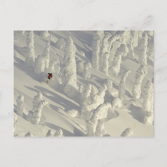 Alpin-Skier in dicken Schneegeistern im Big Postkarte (Vorderseite)