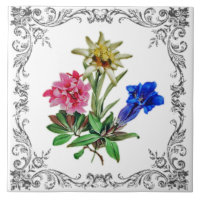 Alpine Blumen