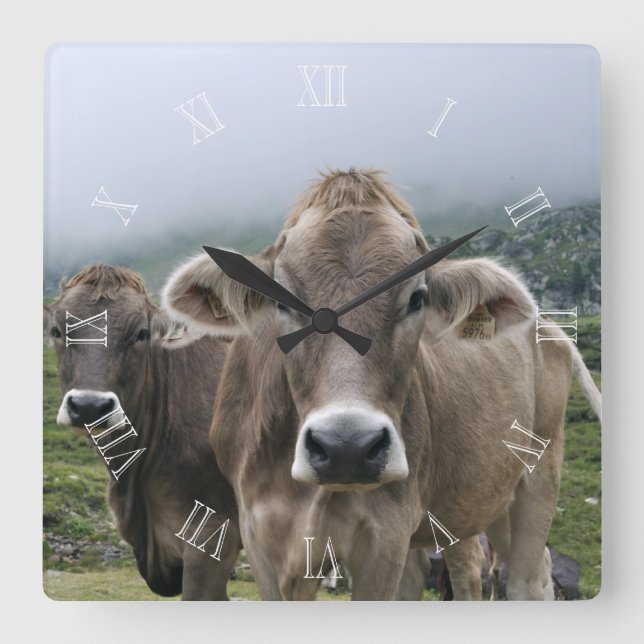 Alpine cows clock with numbers quadratische wanduhr (Vorderseite)