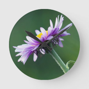Alpine Daisy Runde Wanduhr