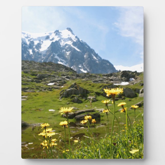 Alpine flowers - Beautiful! Fotoplatte (Vorderseite)