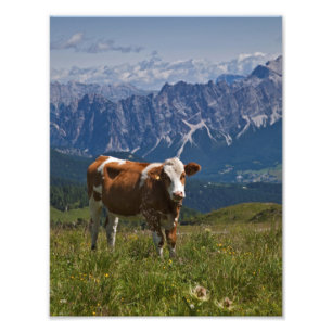 Alpine Kuh Print Fotodruck