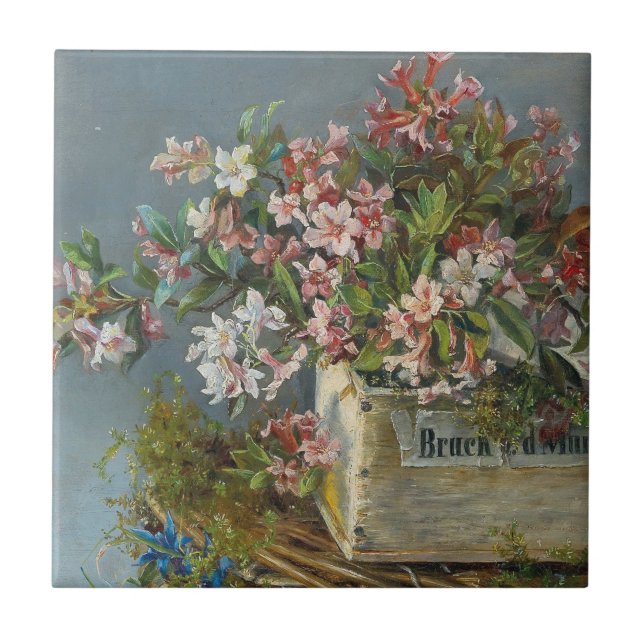 Alpine Rose in einer Windows Box - Andreas Lach Fliese (Vorderseite)
