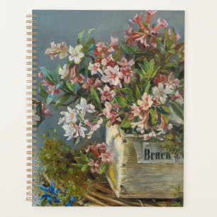 Alpine Rose in einer Windows Box - Andreas Lach Planer