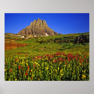 Alpine Wildblumen am Logan Pass im Gletscher Poster