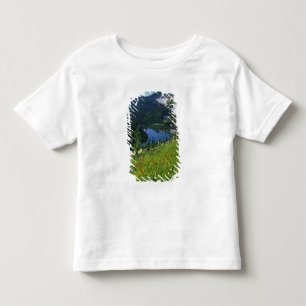 Alpine Wildblumen im Jewel Basin in der Kleinkind T-shirt